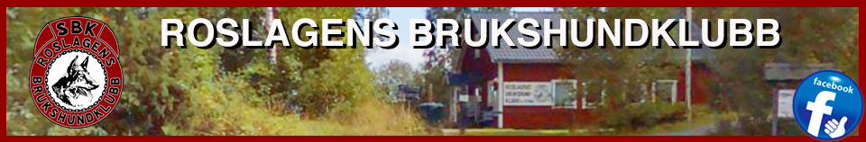 Roslagens BK
